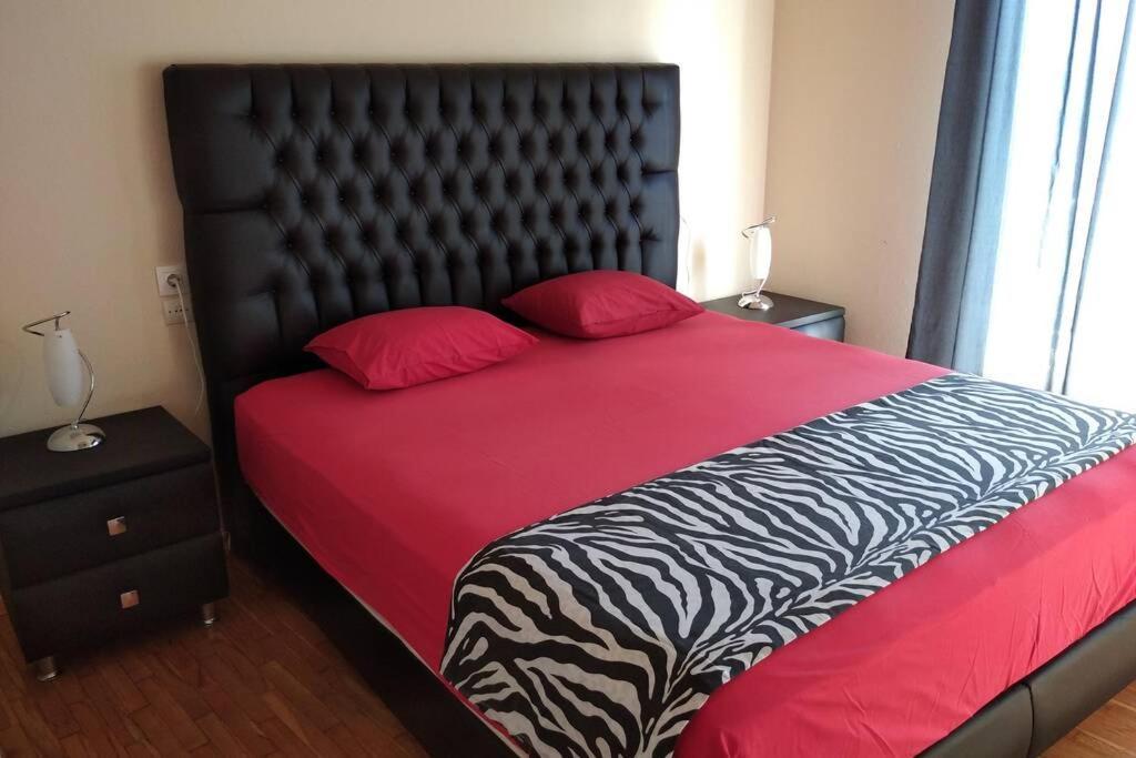 Apartmán Niki'S House Άνετο Διαμ/Σμα 106Τμ 2 Υπνοδωματίων Volos Exteriér fotografie