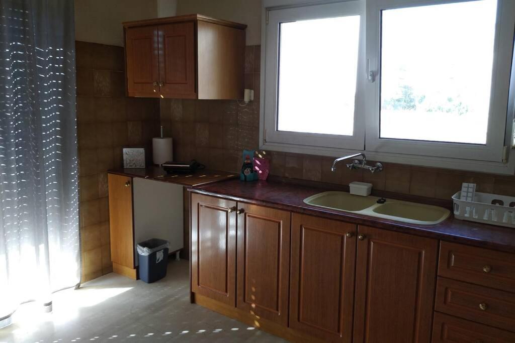 Apartmán Niki'S House Άνετο Διαμ/Σμα 106Τμ 2 Υπνοδωματίων Volos Exteriér fotografie