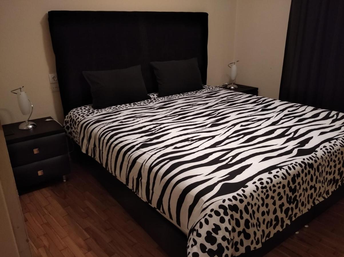 Apartmán Niki'S House Άνετο Διαμ/Σμα 106Τμ 2 Υπνοδωματίων Volos Exteriér fotografie