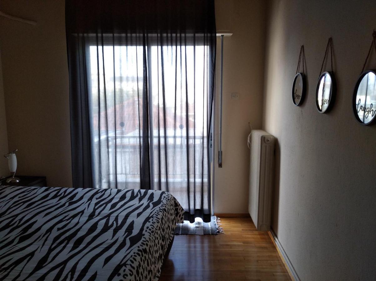 Apartmán Niki'S House Άνετο Διαμ/Σμα 106Τμ 2 Υπνοδωματίων Volos Exteriér fotografie