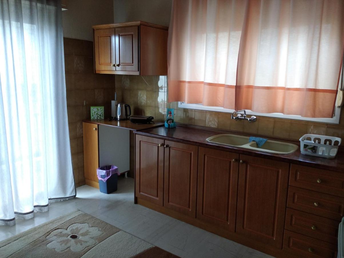 Apartmán Niki'S House Άνετο Διαμ/Σμα 106Τμ 2 Υπνοδωματίων Volos Exteriér fotografie