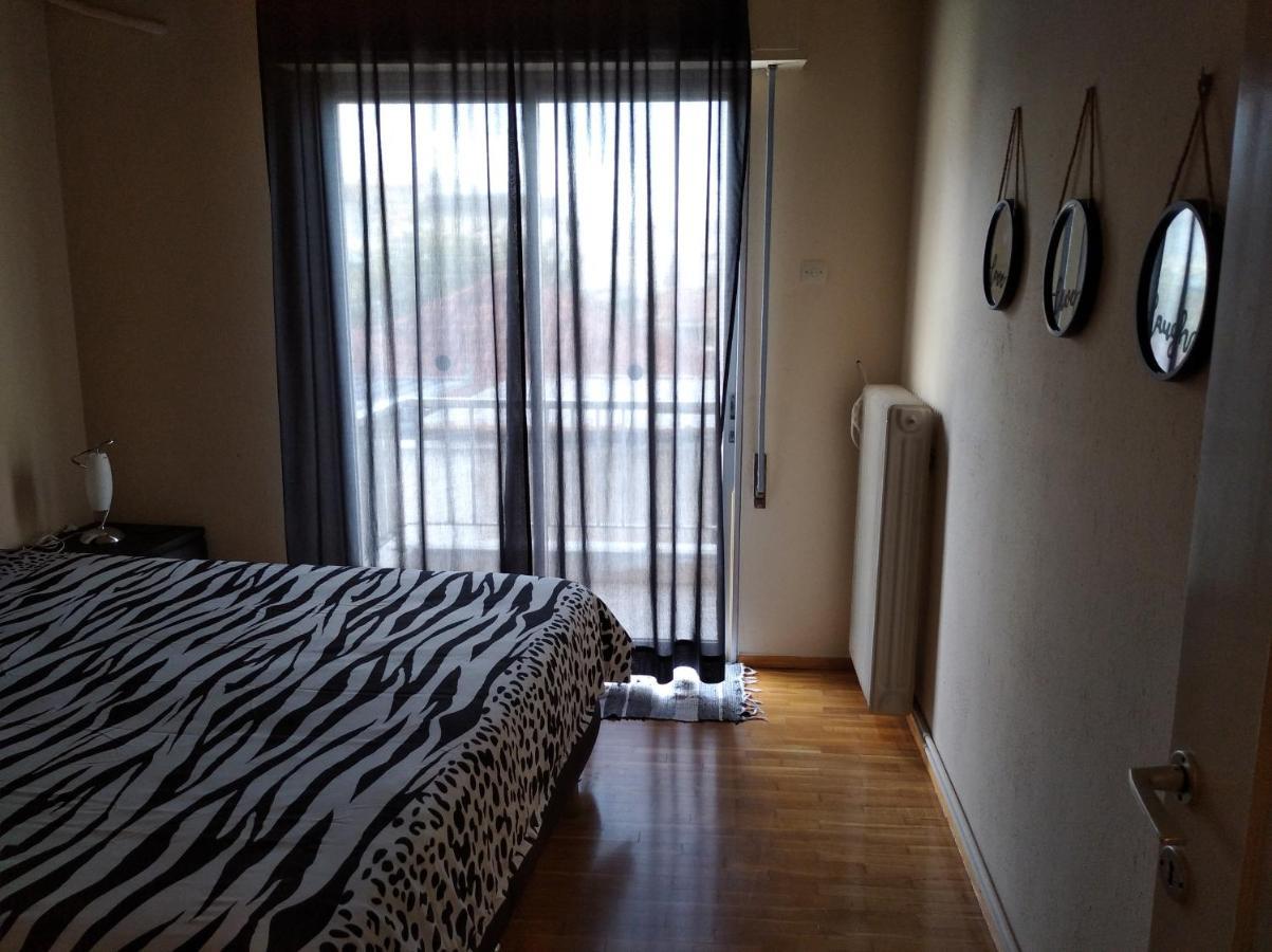 Apartmán Niki'S House Άνετο Διαμ/Σμα 106Τμ 2 Υπνοδωματίων Volos Exteriér fotografie